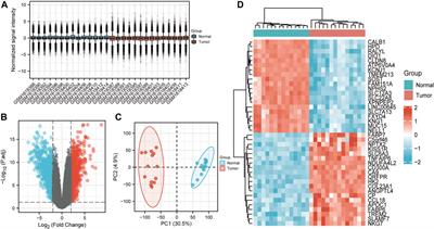 A Cluster of Metabolic-Related Genes Serve as Potential Prognostic Biomarkers for Renal Cell Carcinoma